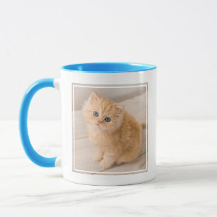 Mug Animaux de bébés cutest British Longhair Kitten