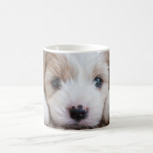 Mug Animaux de bébés cutest   Cavashon Puppy