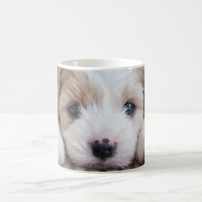 Mug Animaux de bébés cutest | Cavashon Puppy (Centre)