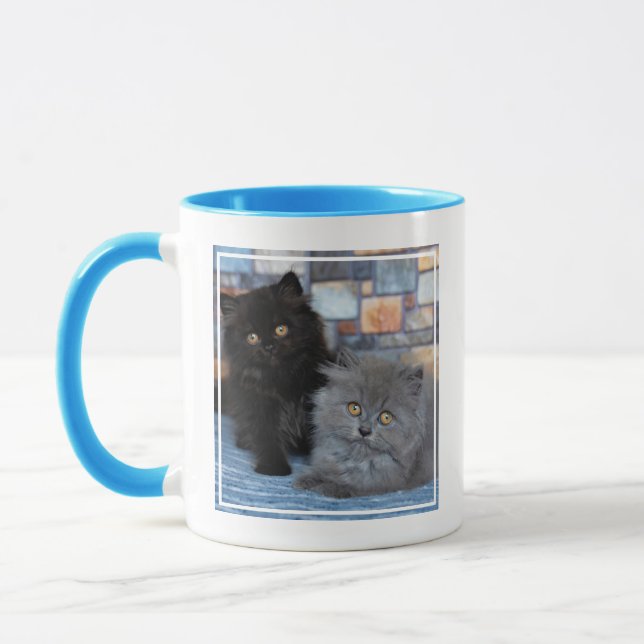 Mug Animaux de bébés cutest | Chatons persans sur couv (Gauche)