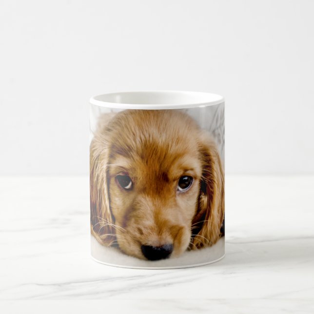 Mug Animaux de bébés cutest | Cocker Spaniel (Centre)