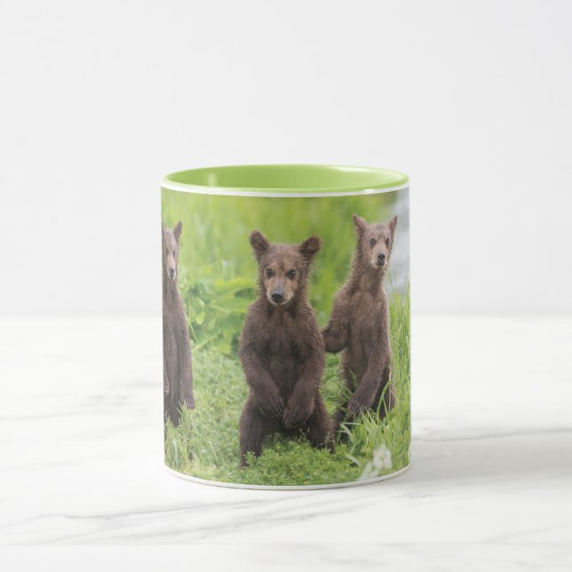 Mug Animaux de bébés cutest | Cubes d'ours Brown Kamch (Centre)
