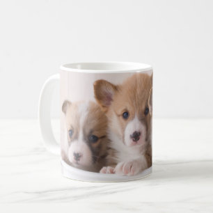 Mug Animaux de bébés cutest Cute Corgi Chipies dans