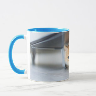 Mug Animaux de bébés cutest   Fluffy Orange Kitten