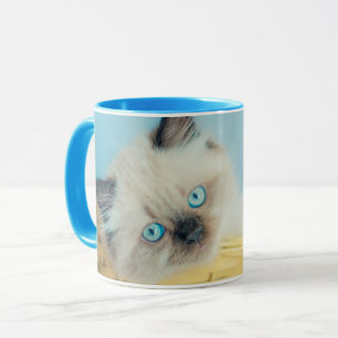 Mug Animaux de bébés cutest Himalaya Seal Point Cat