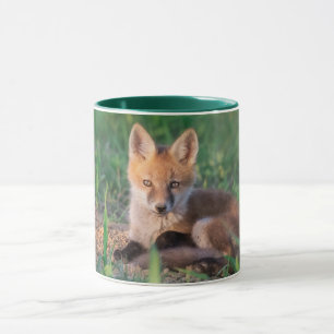Mug Animaux de bébés cutest   Kit Red Fox Relaxant