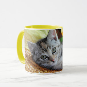 Mug Animaux de bébés cutest   Lounge Kitten