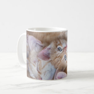 Mug Animaux de bébés cutest Orange Kitten Pile