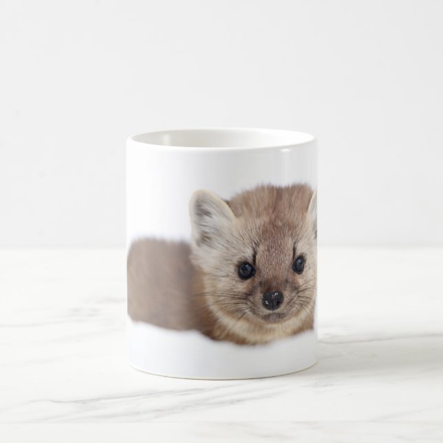 Mug Animaux de bébés cutest | Pine Marten (Centre)