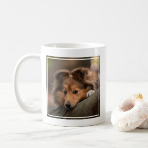 Mug Animaux de bébés cutest Shetland Sheepdog Puppy