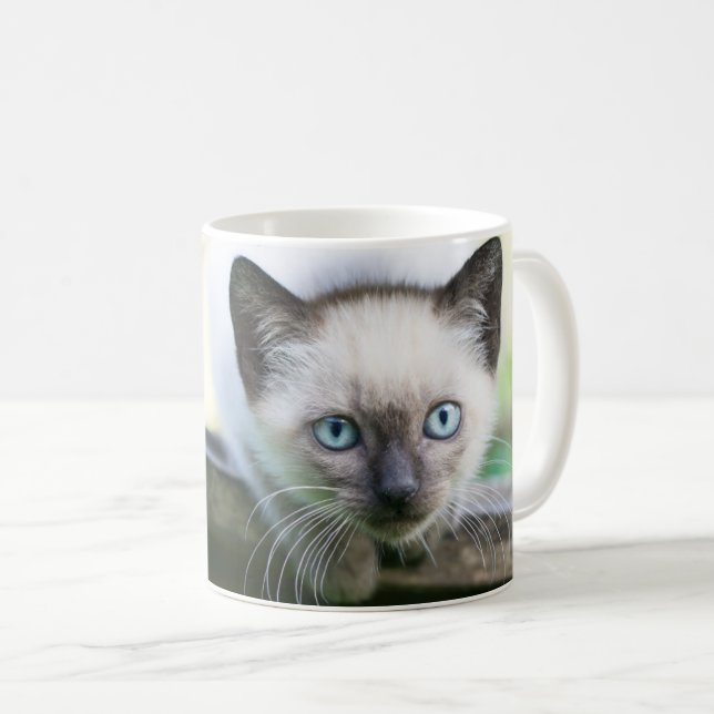 Mug Animaux de bébés cutest | Siamese Kitten 2 (Devant droit)
