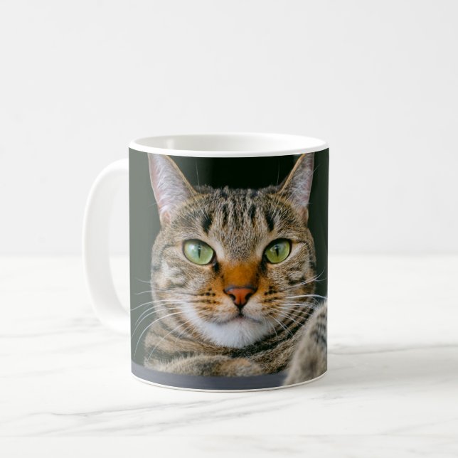 Mug Animaux de bébés cutest | Tête de chat gris Tabby (Devant gauche)
