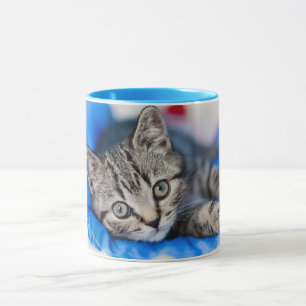 Mug Animaux de bébés cutest   Tunnel Tabby Kitten en J