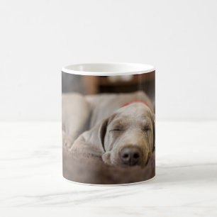 Mug Animaux de bébés cutest Weimaraner Puppy Sleepin