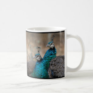 Mug Animaux de faune de plumes d'oiseau de paon
