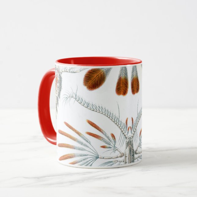 Mug Animaux océaniques vintage, Copépodes par Ernst Ha (Devant gauche)