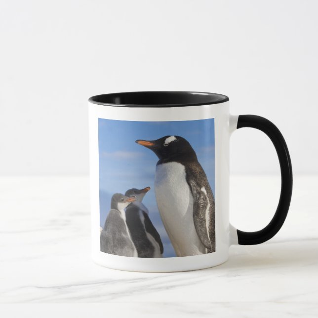 Mug Antarctique, Anse Neko (Port). Manchot gentoo 2 (Droite)