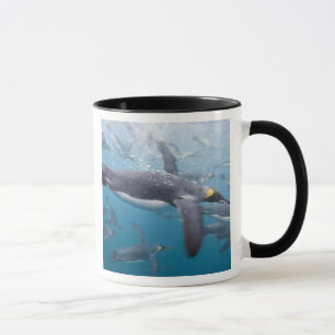 Mug Antarctique, île de Géorgie du Sud UK