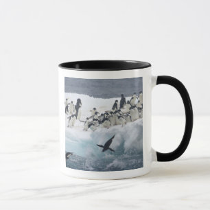 Mug Antarctique, île Paulet. Pingouins d'Adelie