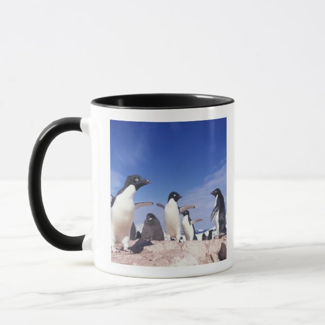 Mug Antarctique, Manchot Adélie Pygoscelis (Gauche)