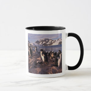 Mug Antarctique, poussins de manchots Adélie