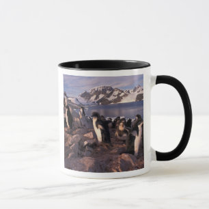 Mug Antarctique, poussins de pingouin d'Adelie