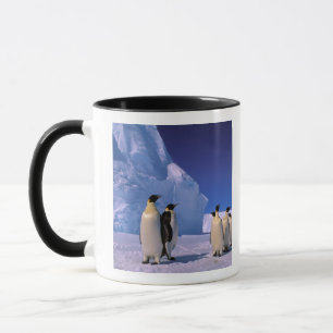 Mug Antarctique, Territoire antarctique australien, 7