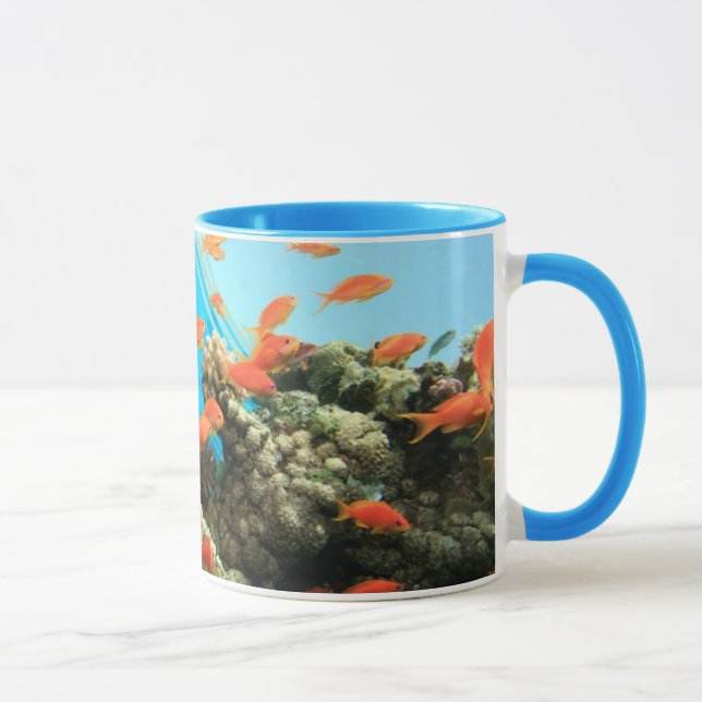 Mug Anthias de Lyretail sur le récif coralien (Droite)