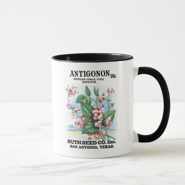 Mug Antigonon Coral mexicain, Huth Seed Co (Droite)