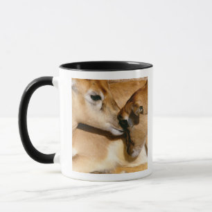 Mug Antilope et faon africains