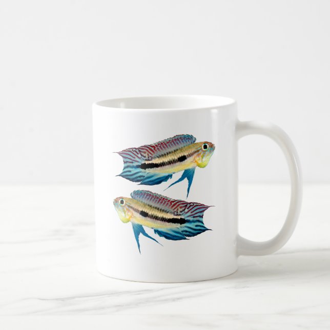 Mug Apistogramma mendezi (Droite)