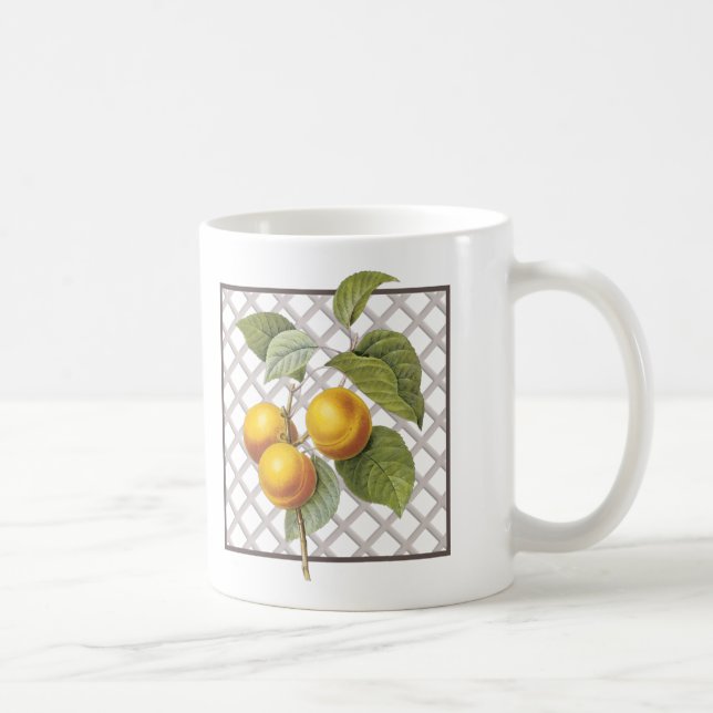 MUG APRICOTS (Droite)