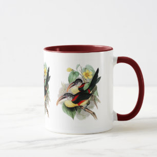 Mug Aracari Bouclé-crêté