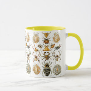 Mug Arachnida (Araignées) Ernst Haeckel Fine Art