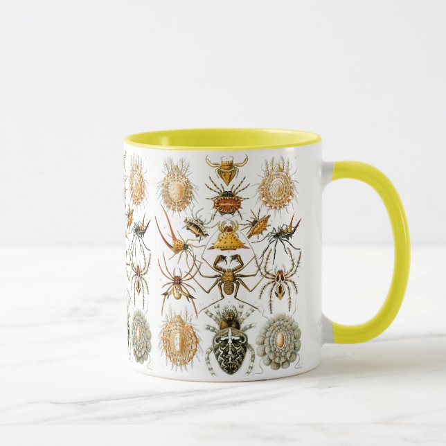 Mug Arachnida (Araignées) Ernst Haeckel Fine Art (Droite)