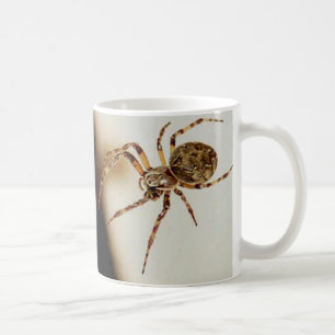 Mug Araignée 01