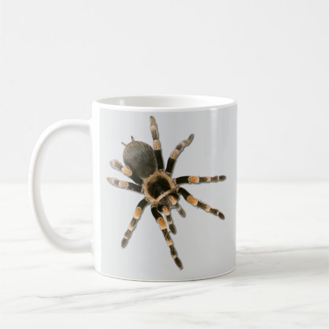 Mug Araignée mygale (Brachypelma smithi). (Gauche)