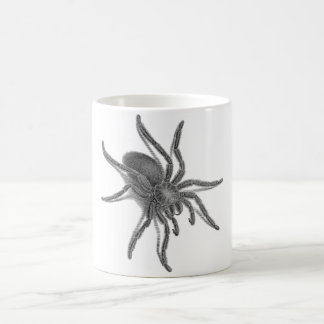Mug Aranea Avicularia, araignée cubaine noire