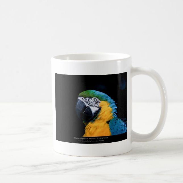 Mug Ararauna d'arums - ara Bleu-et-jaune 01 (Droite)