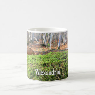Mug Arbre à plumes dans la mousse d'automne - Personna