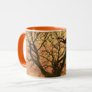 Mug Arbre D'Automne Tordu Au Coucher Du Soleil
