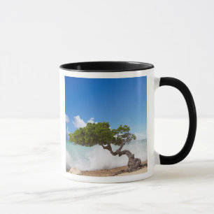 Mug Arbre Divi Divi, Eagle Beach, Aruba, Caraïbes