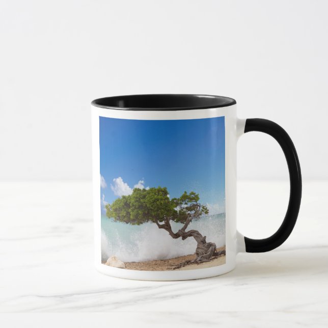 Mug Arbre Divi Divi, Eagle Beach, Aruba, Caraïbes (Droite)