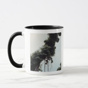 Mug Arbre et vignes trés hauts dans la jungle