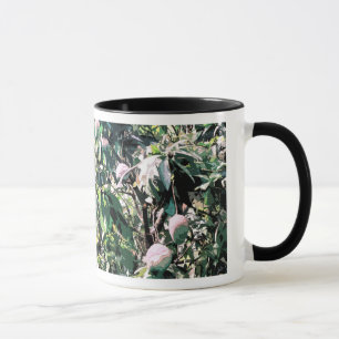 Mug Arbre Mango