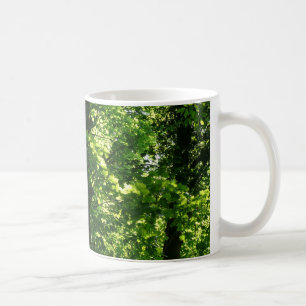 Mug Arbres au printemps. Bute Park, Cardiff. Pays de G