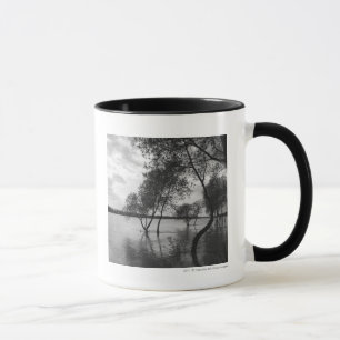 Mug Arbres dans le lac