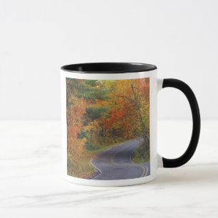 Mug Arbres d'automne bordant la route dans le parc d'É