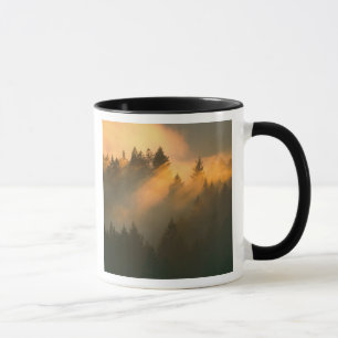 Mug Arbres de séquoia dans le brouillard côtier, comté