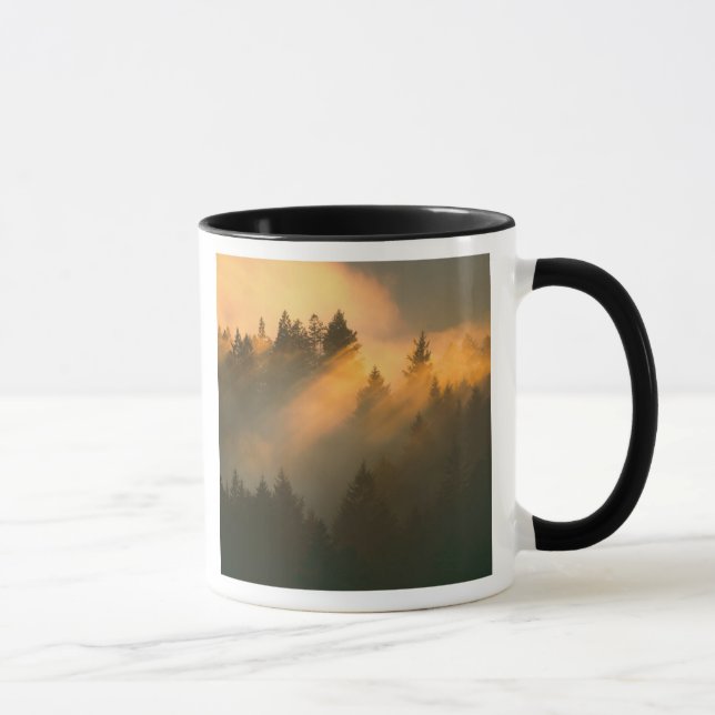 Mug Arbres de séquoia dans le brouillard côtier, comté (Droite)